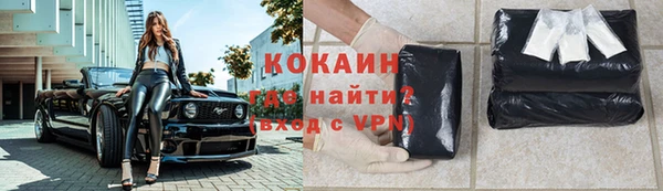 прущие грибы Беломорск
