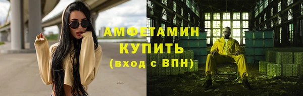 прущие грибы Беломорск
