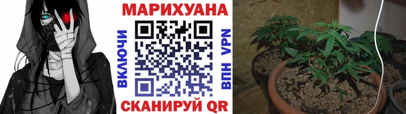 магазин    Нефтеюганск  МАРИХУАНА THC 21% 